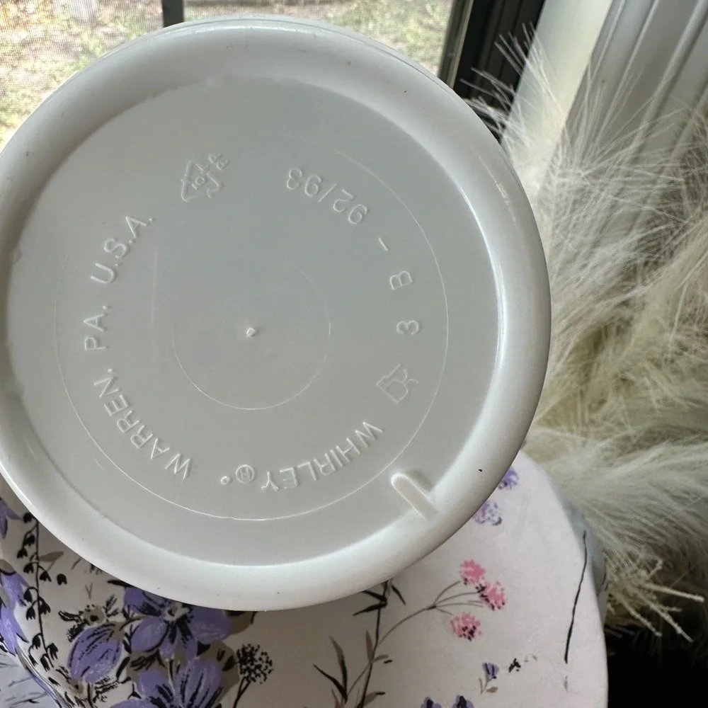 Disney Travel Popcorn Bucket